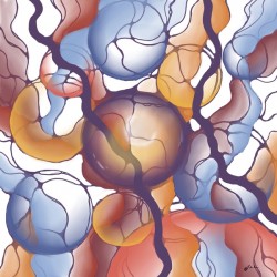 Shift of Consciousness