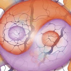 Into the Yin of Things