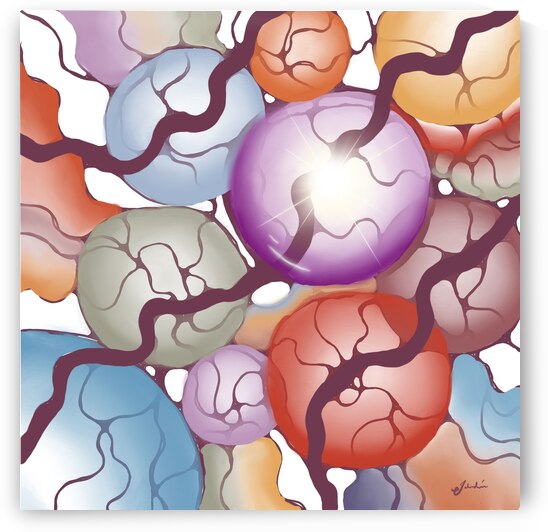 Wonder by Julia Duran