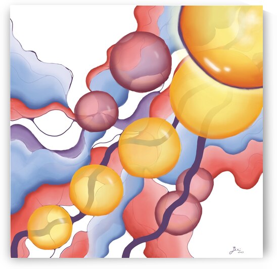 Jellyfish Sunset by Julia Duran